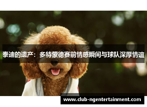 泰迪的遗产：多特蒙德赛前情感瞬间与球队深厚情谊