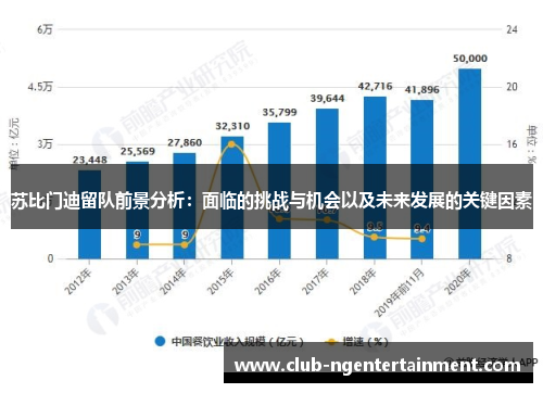 苏比门迪留队前景分析：面临的挑战与机会以及未来发展的关键因素