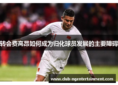 转会费高昂如何成为归化球员发展的主要障碍
