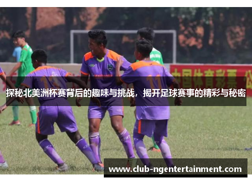 探秘北美洲杯赛背后的趣味与挑战，揭开足球赛事的精彩与秘密