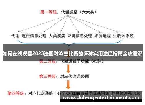 如何在线观看2023法国对波兰比赛的多种实用途径指南全攻略篇