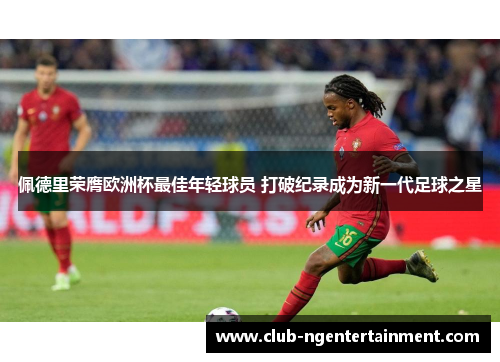 佩德里荣膺欧洲杯最佳年轻球员 打破纪录成为新一代足球之星